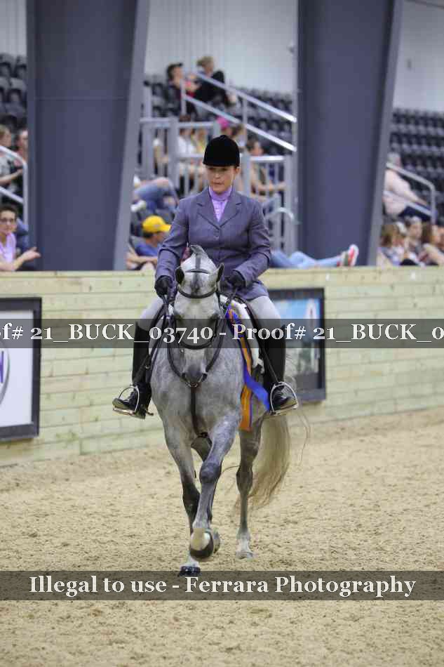 Proof 21_BUCK_03740