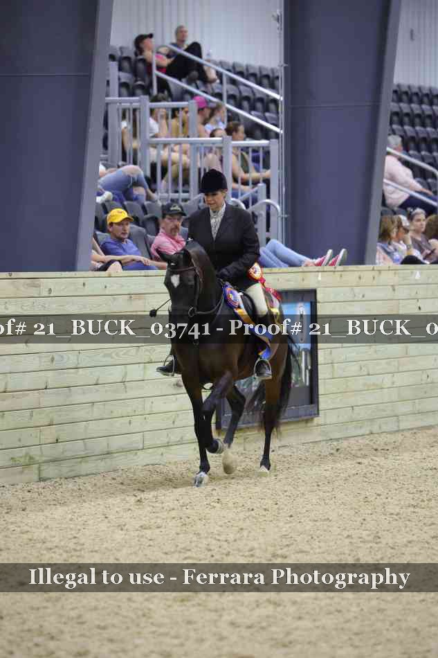 Proof 21_BUCK_03741