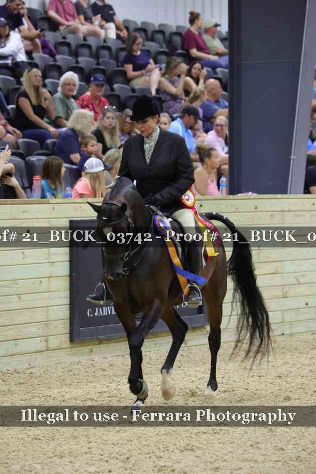 Proof 21_BUCK_03742