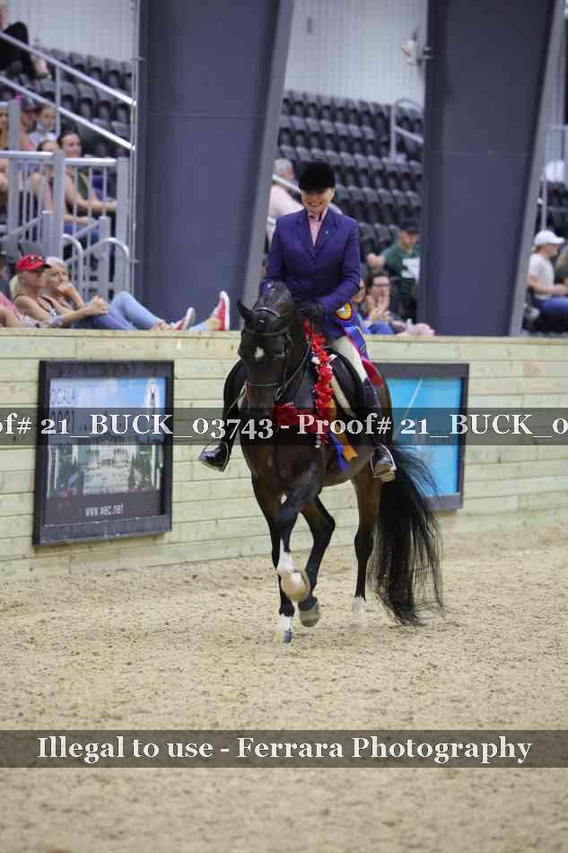 Proof 21_BUCK_03743