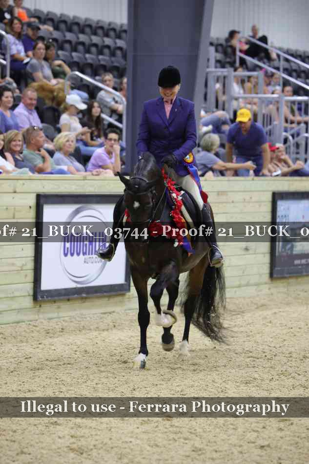 Proof 21_BUCK_03744