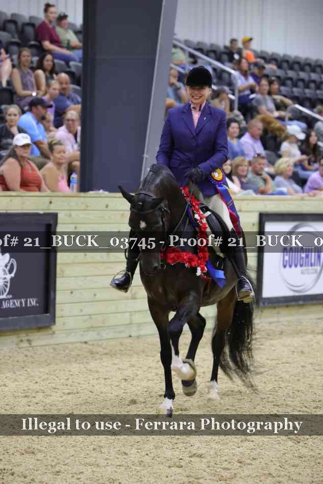 Proof 21_BUCK_03745