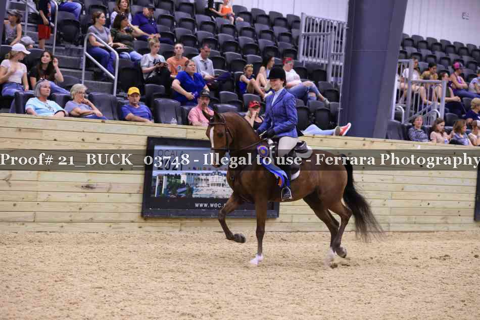 Proof 21_BUCK_03748