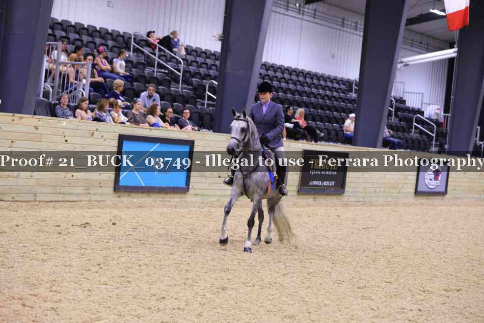 Proof 21_BUCK_03749