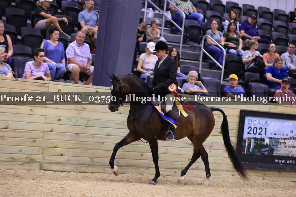 Proof 21_BUCK_03750