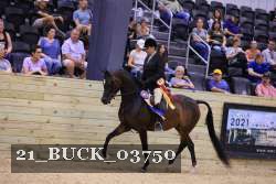 21_BUCK_03750 proof