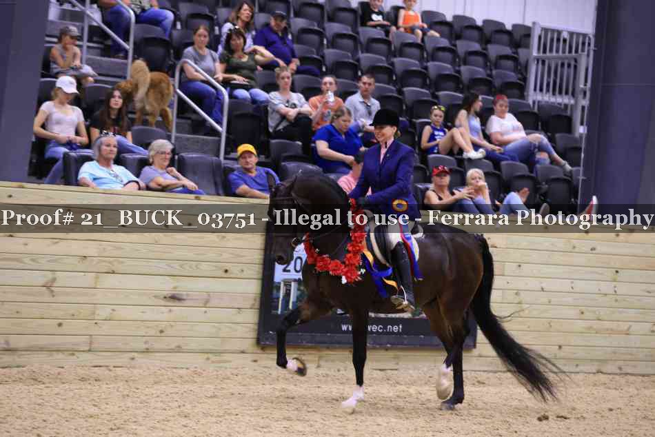 Proof 21_BUCK_03751