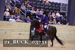 21_BUCK_03751 proof
