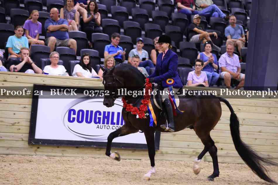 Proof 21_BUCK_03752