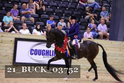 21_BUCK_03752 proof