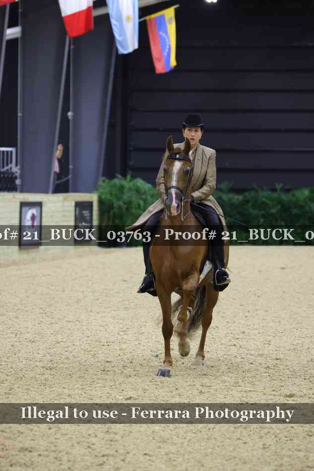 Proof 21_BUCK_03763