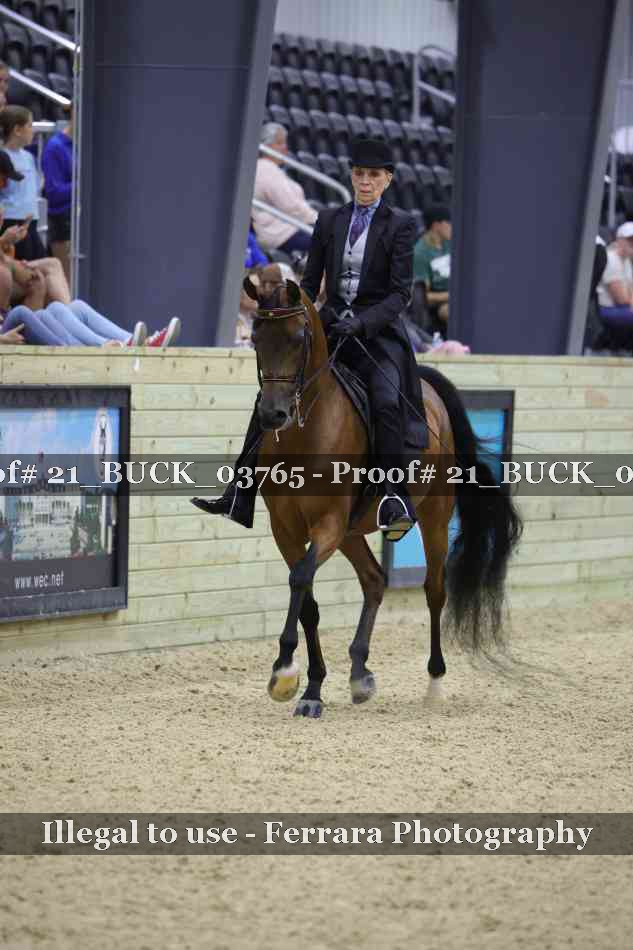 Proof 21_BUCK_03765