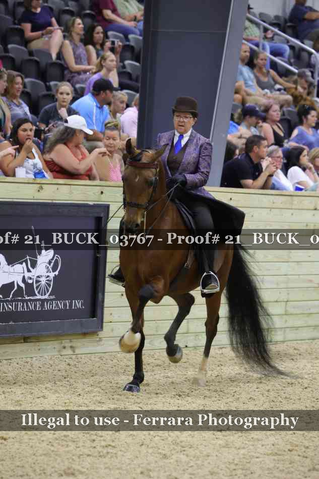 Proof 21_BUCK_03767