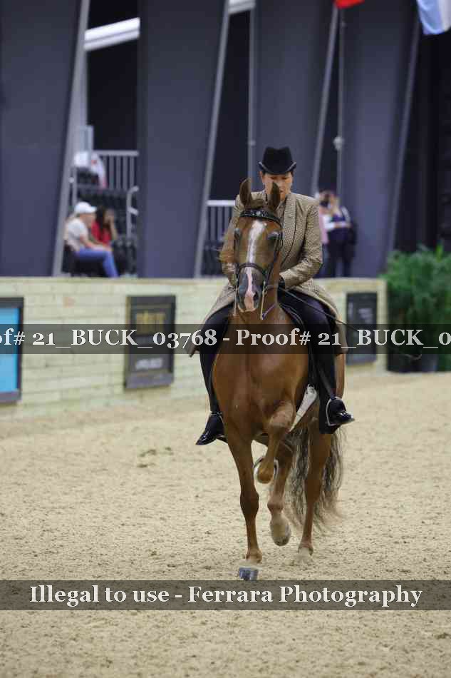 Proof 21_BUCK_03768