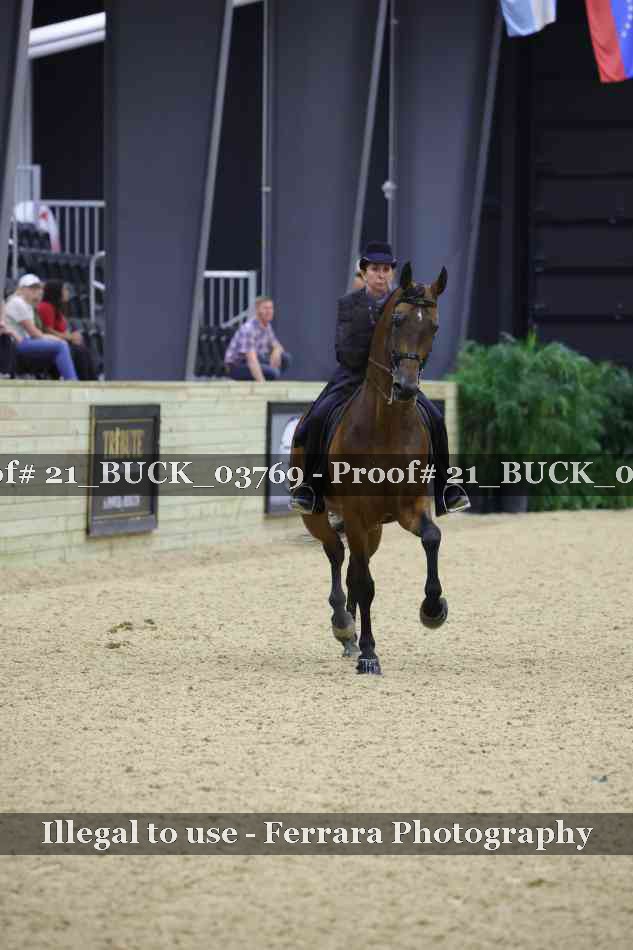 Proof 21_BUCK_03769
