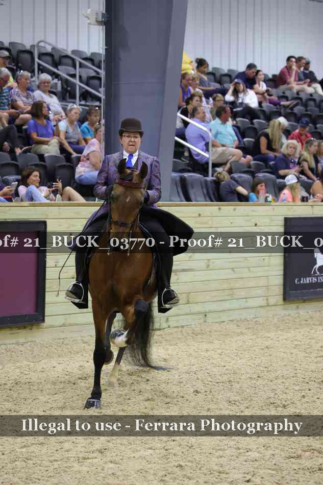 Proof 21_BUCK_03770