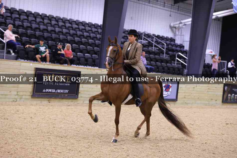Proof 21_BUCK_03774