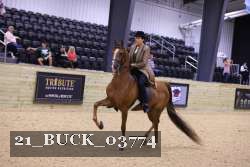 21_BUCK_03774 proof