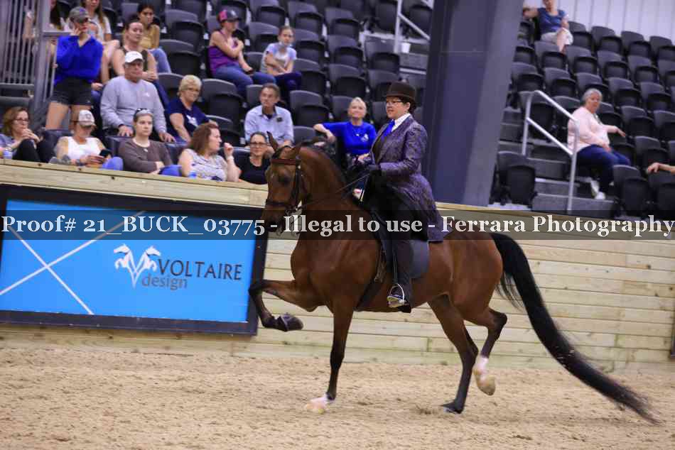 Proof 21_BUCK_03775