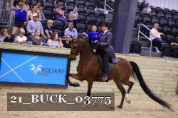 21_BUCK_03775 proof