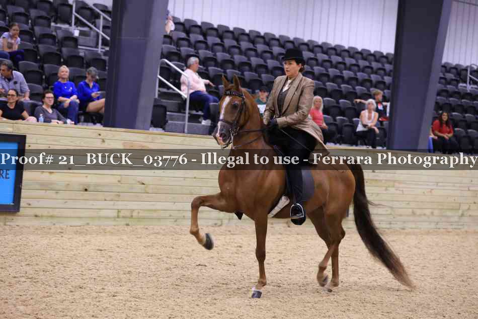 Proof 21_BUCK_03776
