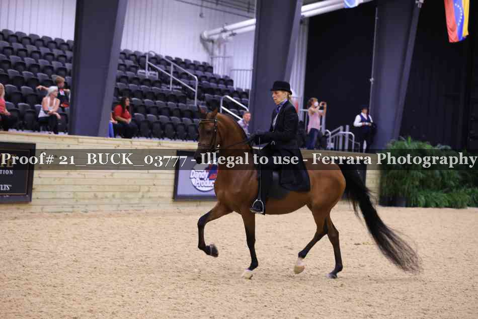 Proof 21_BUCK_03777