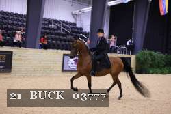 21_BUCK_03777 proof