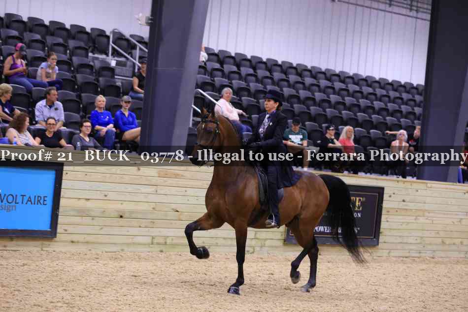 Proof 21_BUCK_03778