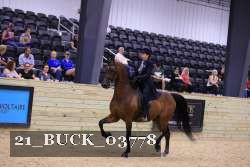 21_BUCK_03778 proof