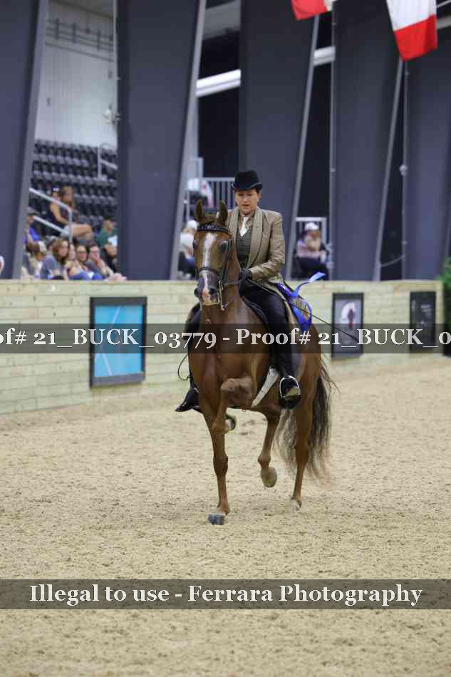Proof 21_BUCK_03779