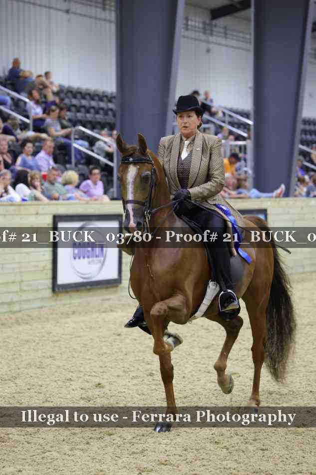 Proof 21_BUCK_03780