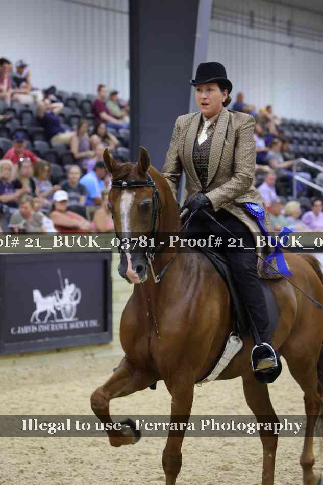 Proof 21_BUCK_03781