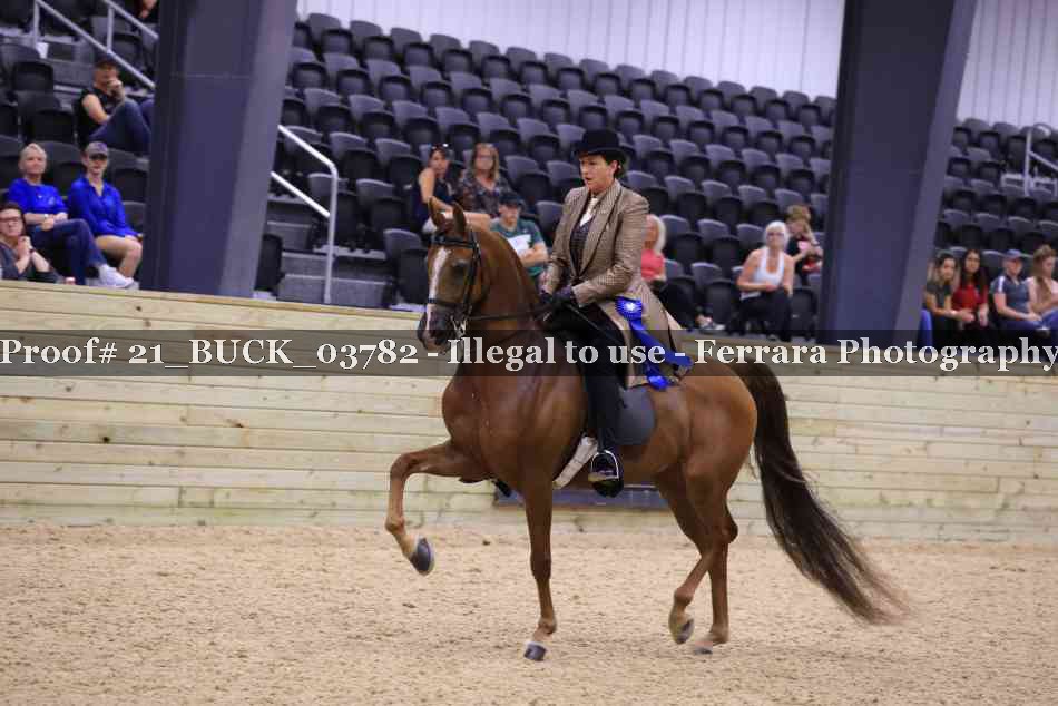 Proof 21_BUCK_03782