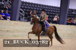 21_BUCK_03782 proof