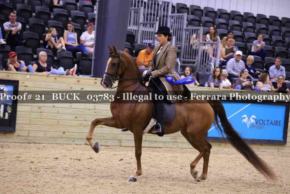 Proof 21_BUCK_03783