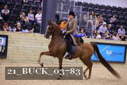 21_BUCK_03783 proof