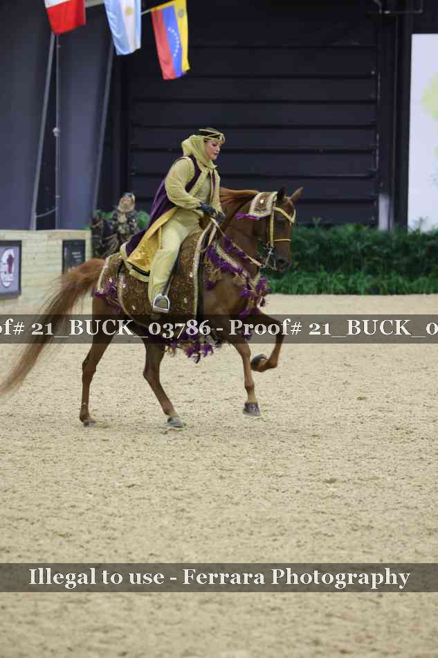 Proof 21_BUCK_03786