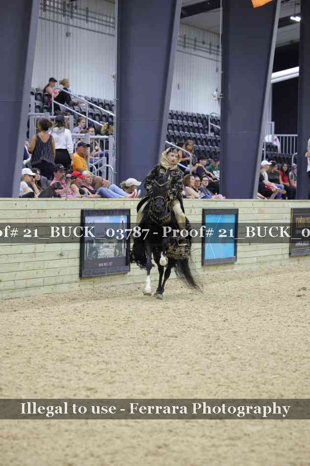 Proof 21_BUCK_03787