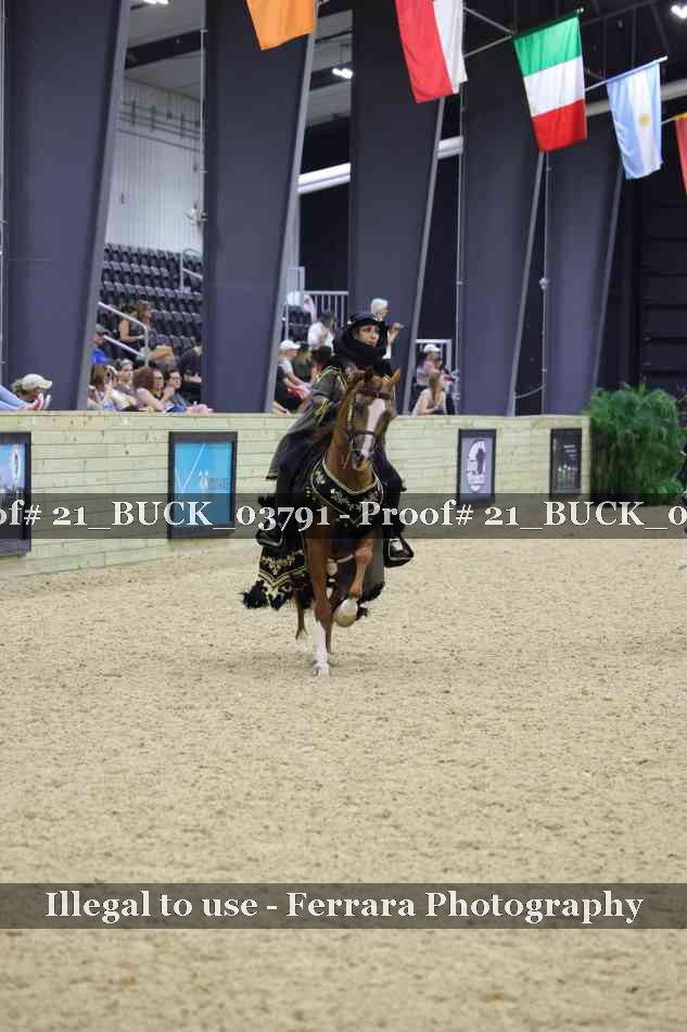 Proof 21_BUCK_03791