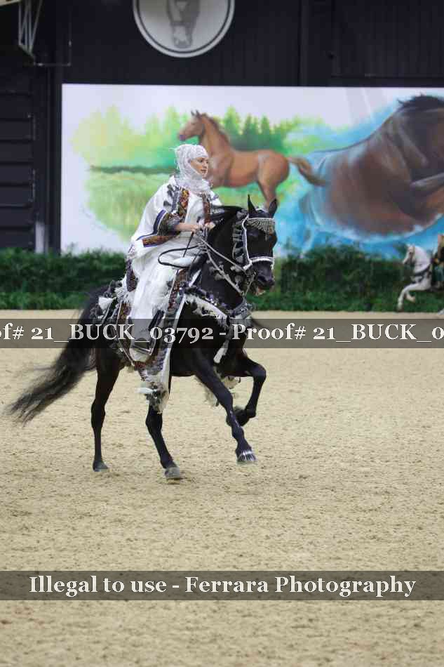 Proof 21_BUCK_03792
