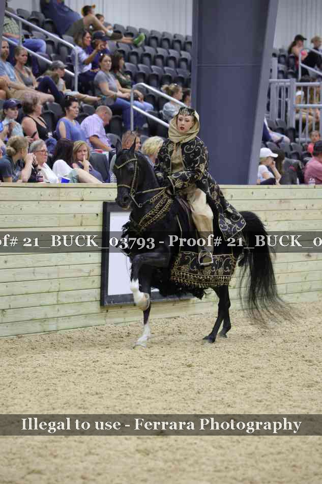 Proof 21_BUCK_03793