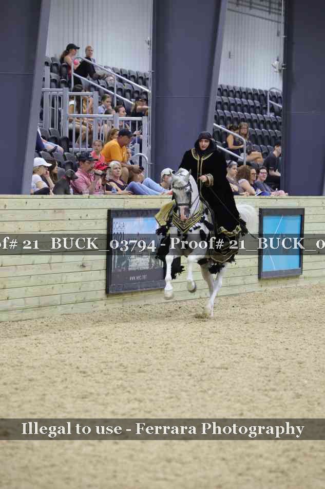Proof 21_BUCK_03794