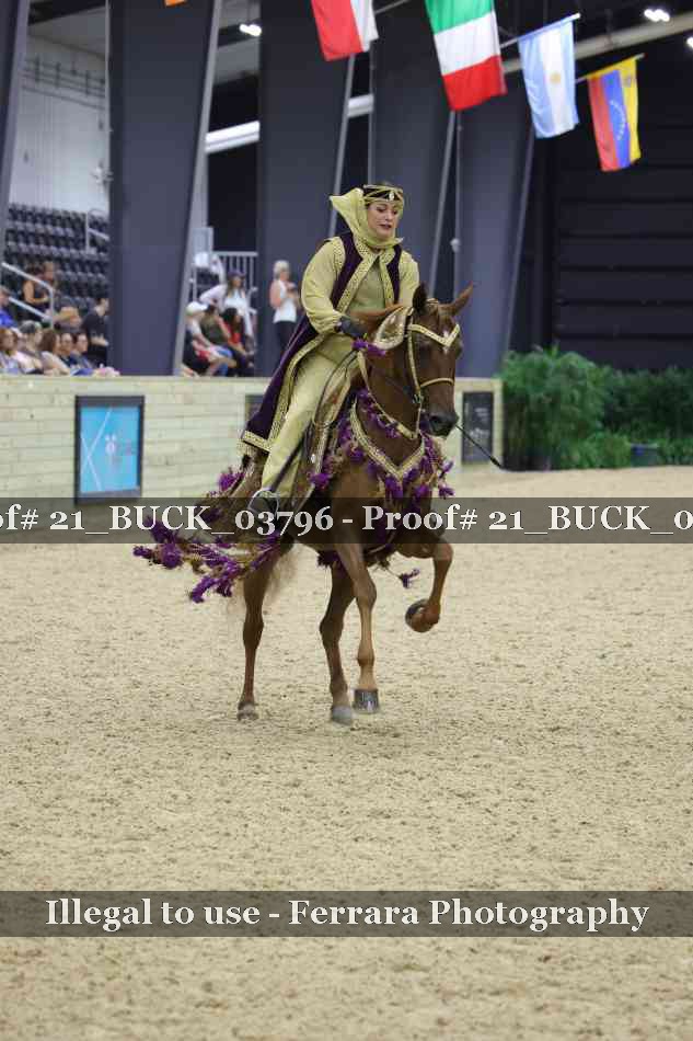 Proof 21_BUCK_03796
