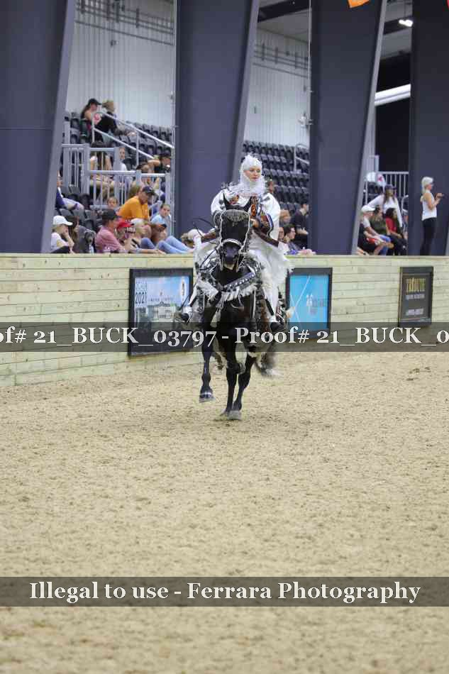 Proof 21_BUCK_03797