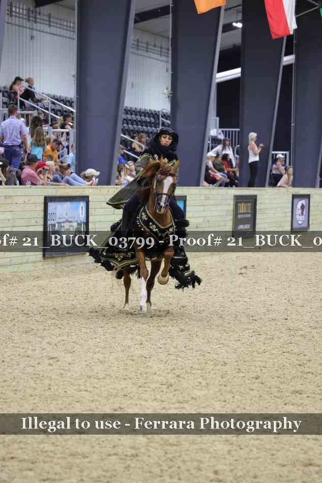 Proof 21_BUCK_03799