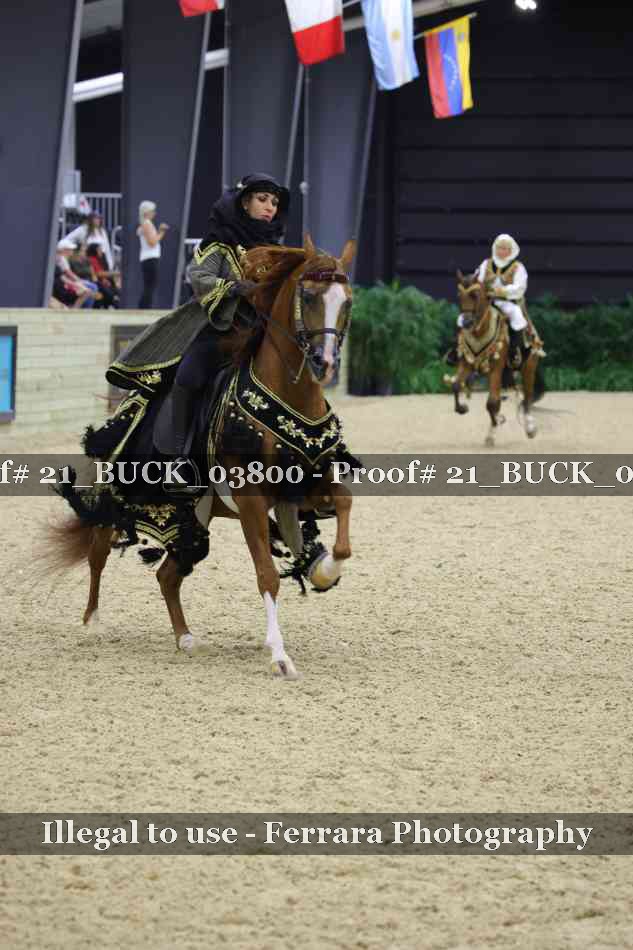 Proof 21_BUCK_03800