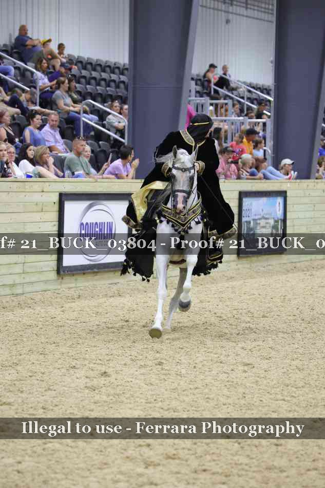 Proof 21_BUCK_03804