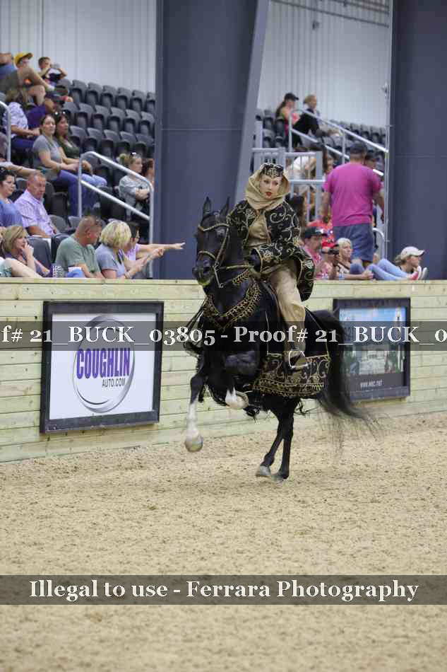 Proof 21_BUCK_03805
