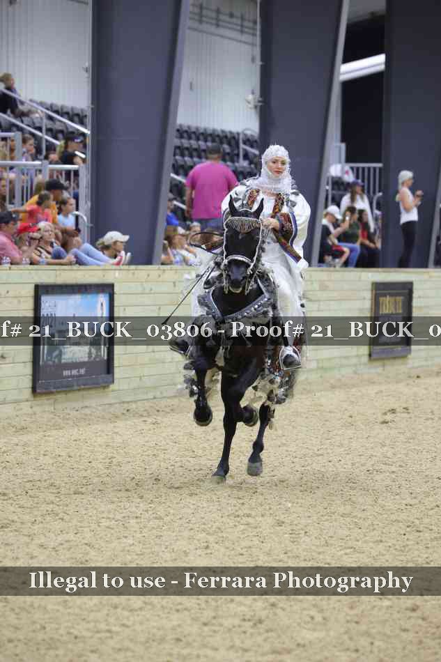 Proof 21_BUCK_03806