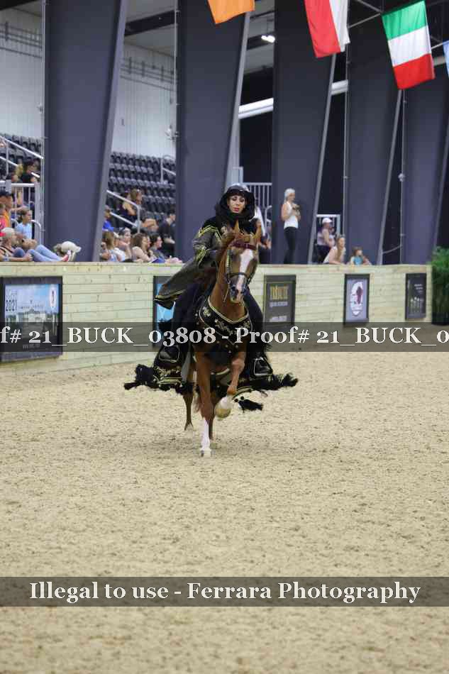 Proof 21_BUCK_03808